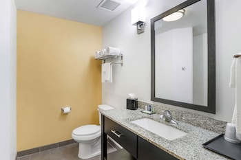 sleep inn and suites carlsbad caverns area