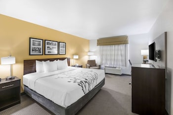 sleep inn and suites carlsbad caverns area