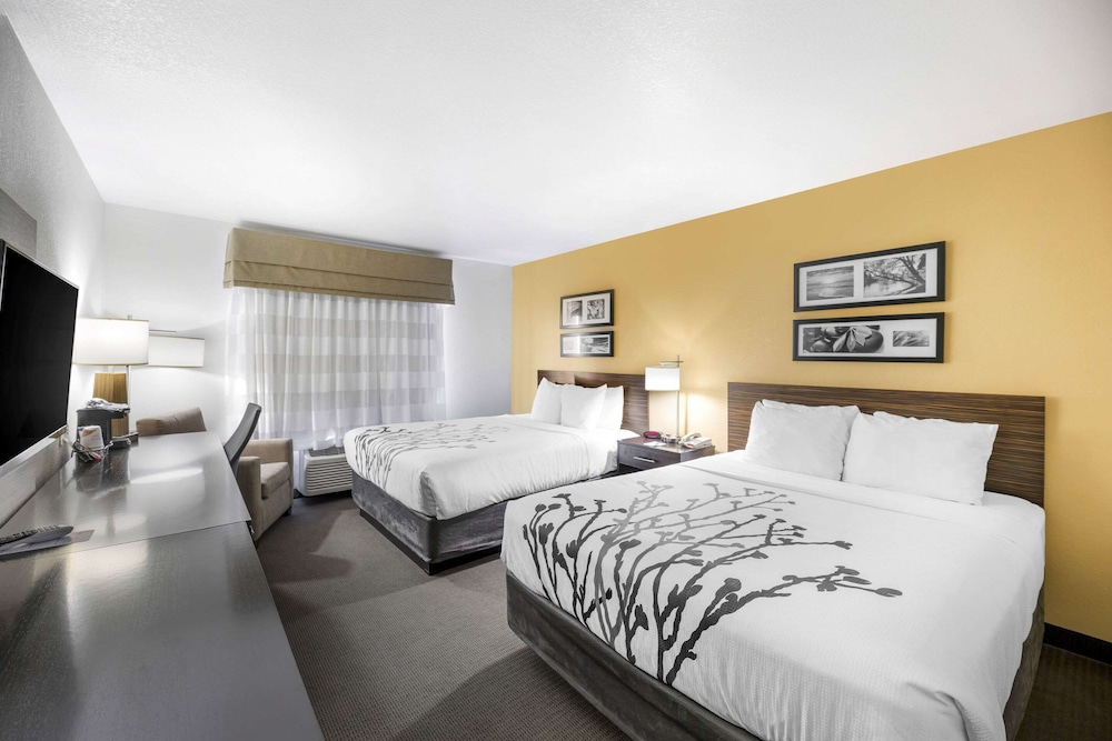 sleep inn and suites carlsbad caverns area