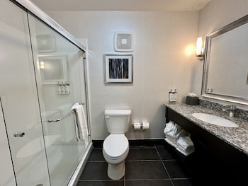 holiday inn carlsbad san diego