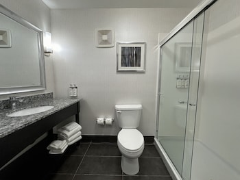 holiday inn carlsbad san diego