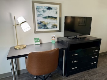 holiday inn carlsbad san diego