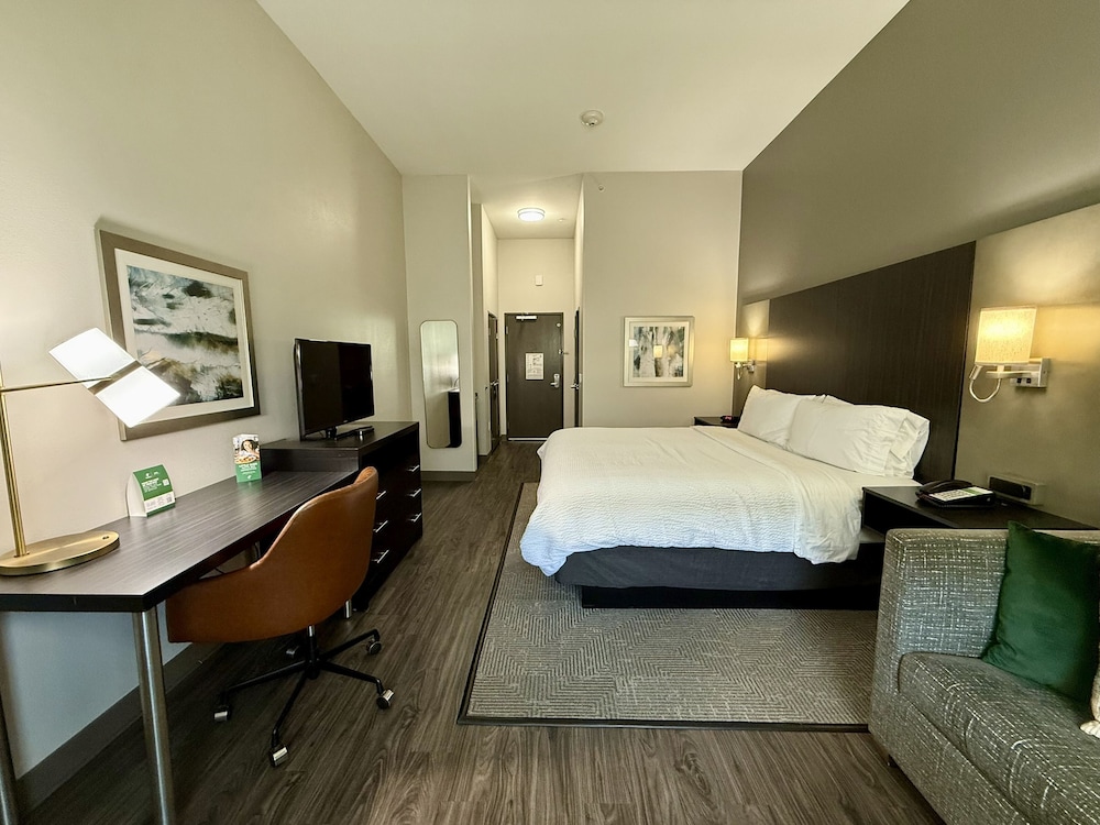 holiday inn carlsbad san diego