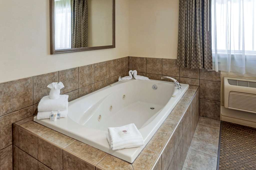 comfort inn and suites thousand islands harbour district