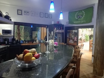 stevie wonderland hotel boutique