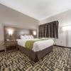 quality inn and suites