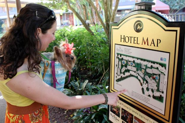 rosen inn at pointe orlando