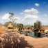 montis resort