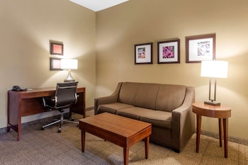 comfort inn and suites peachtree corners
