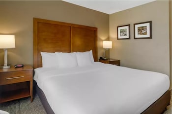comfort inn and suites peachtree corners