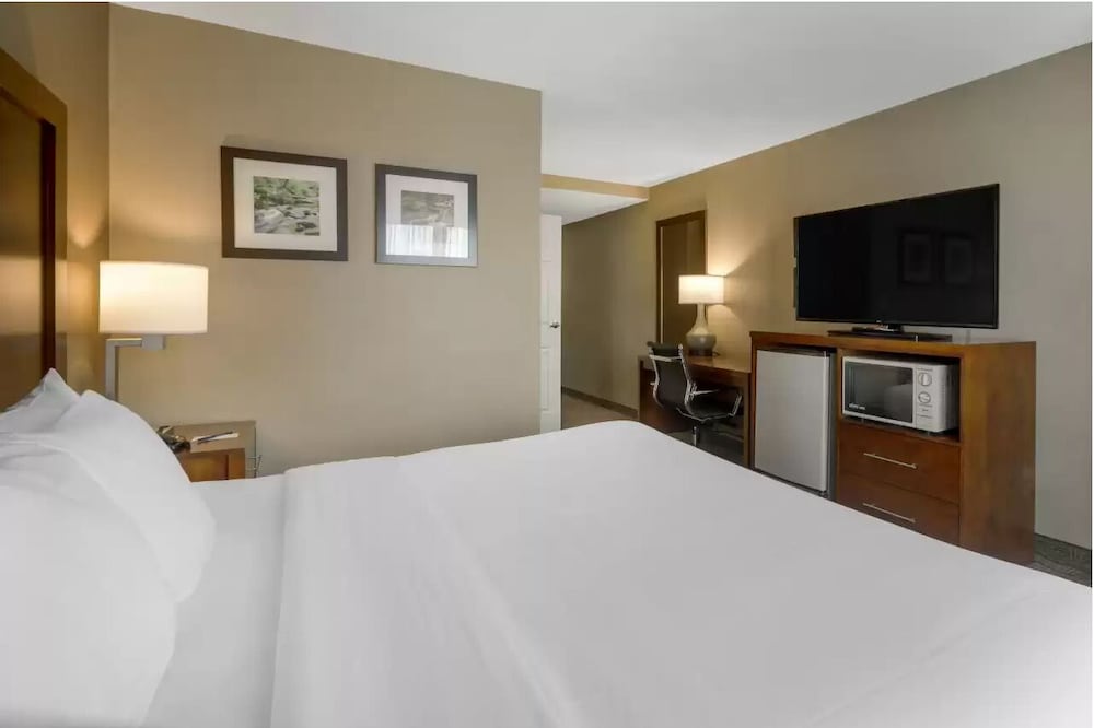 comfort inn and suites peachtree corners