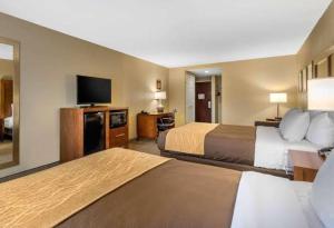 comfort inn and suites peachtree corners