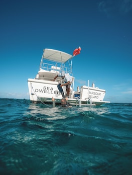 valentines resort and marina