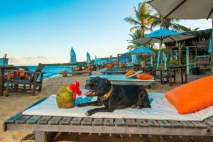 travel inn pousadas and beach club trancoso