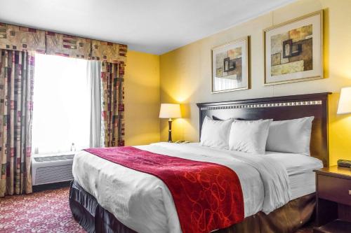 Comfort Suites Vacaville-Napa Valley Area,Fairfield>>Davis,3 star