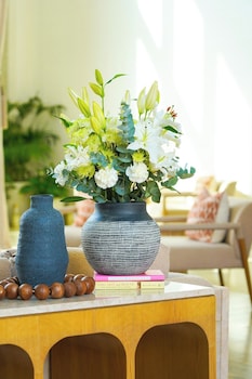 andalus al seef resort and spa