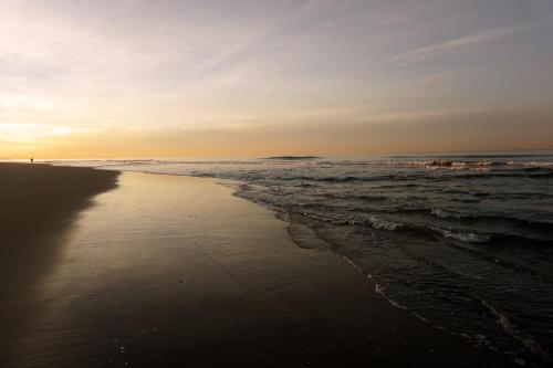bay shores peninsula hotel