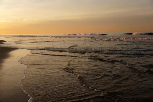 bay shores peninsula hotel