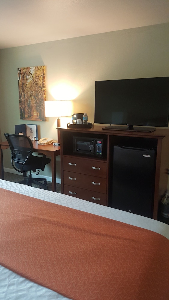 best western university inn