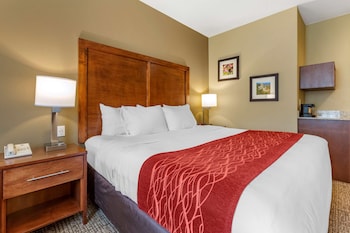 comfort inn and suites hill city