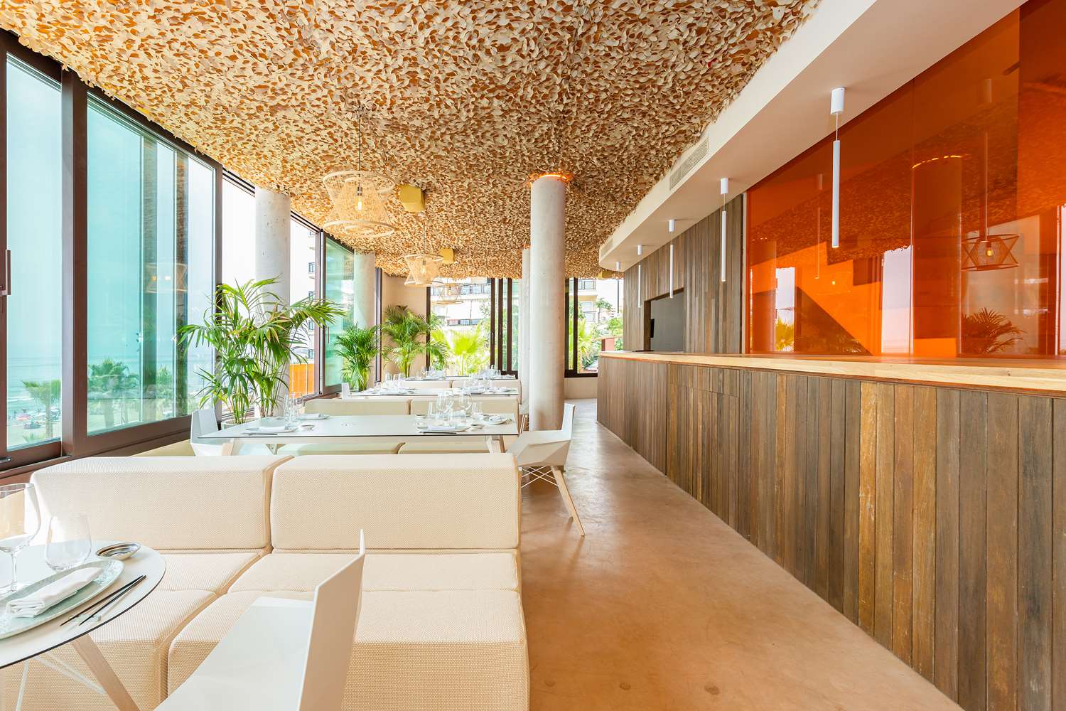 higueron curio by hilton adult only