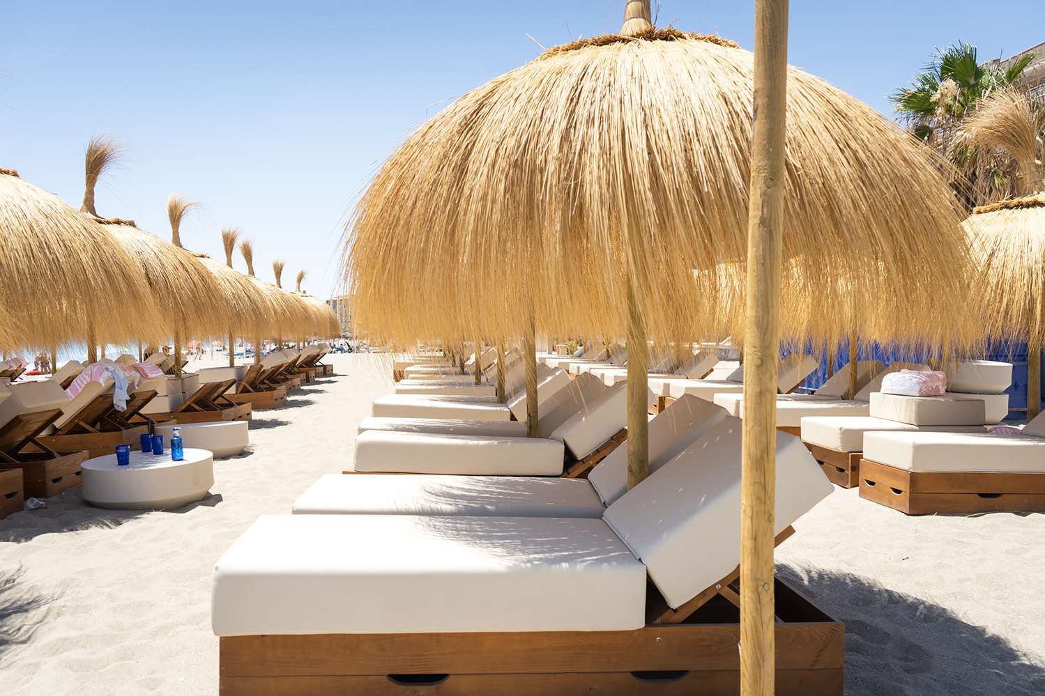 higueron curio by hilton adult only