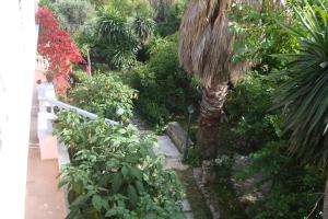 pension skala