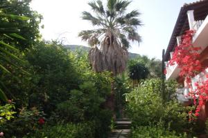 pension skala