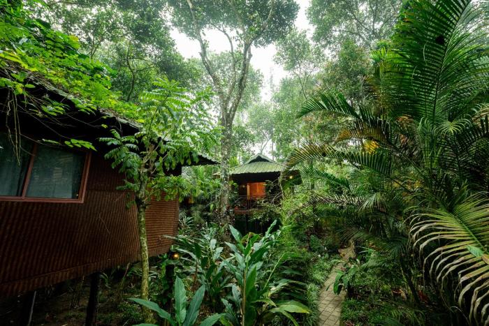 monsoon retreats