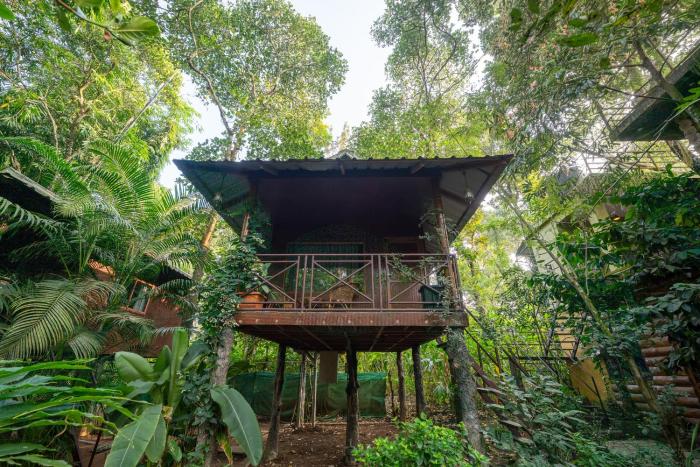 monsoon retreats