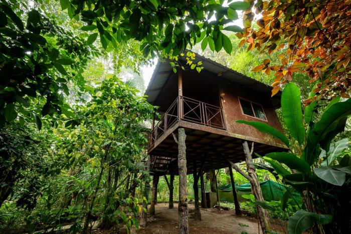monsoon retreats