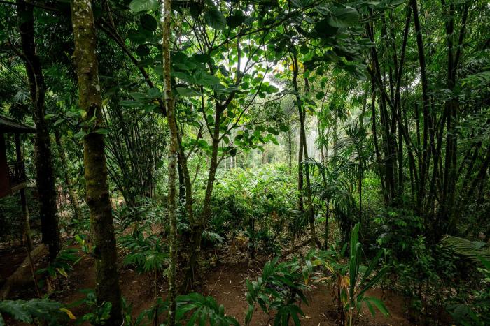 monsoon retreats
