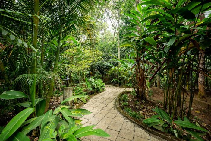 monsoon retreats