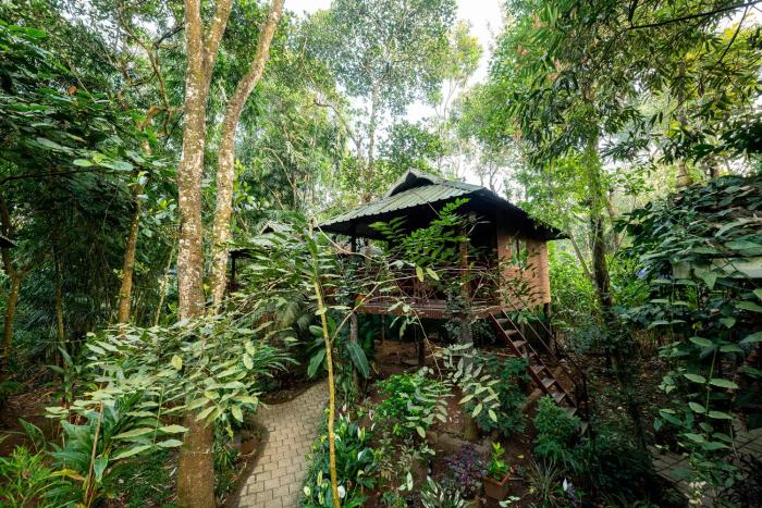 monsoon retreats
