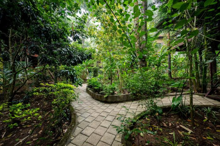 monsoon retreats
