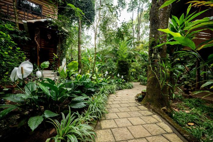 monsoon retreats