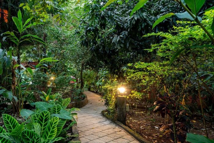 monsoon retreats