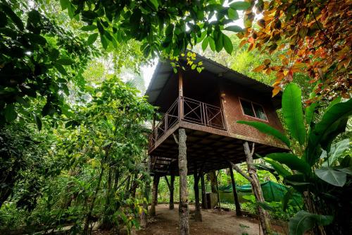 monsoon retreats