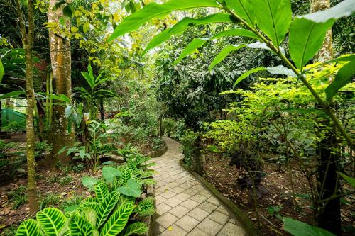 monsoon retreats