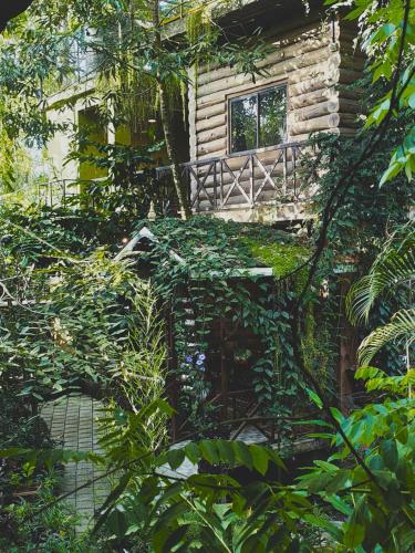 monsoon retreats