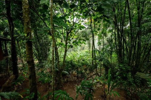 monsoon retreats