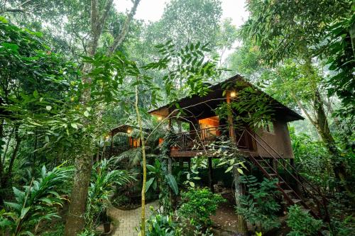 monsoon retreats