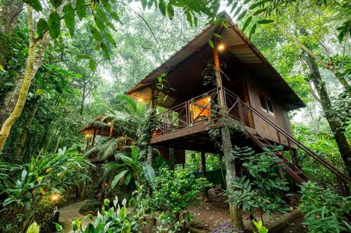 monsoon retreats