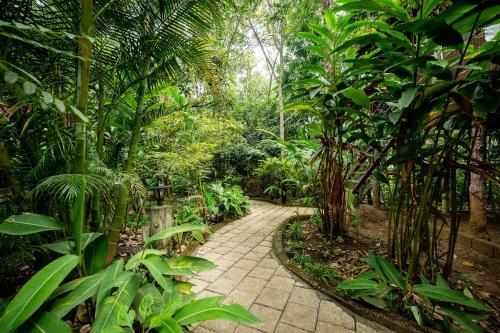 monsoon retreats