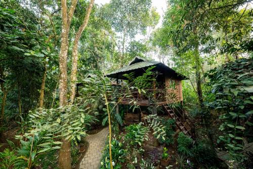 monsoon retreats