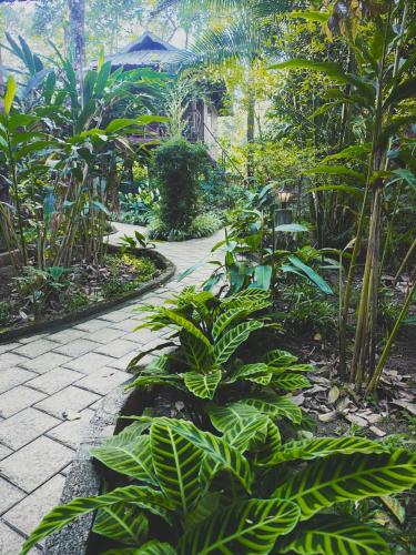 monsoon retreats