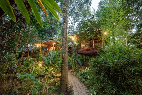 monsoon retreats