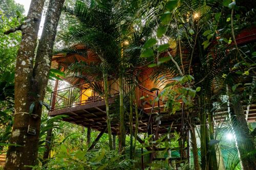 monsoon retreats