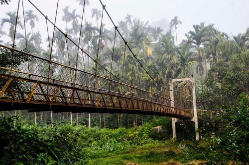 coffee gudda resort