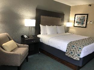 best western plus dallas love field north hotel